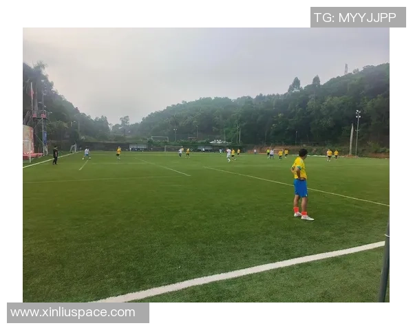 lwy究竟是哪位足球明星他在球场上的表现如何引发了怎样的关注与讨论