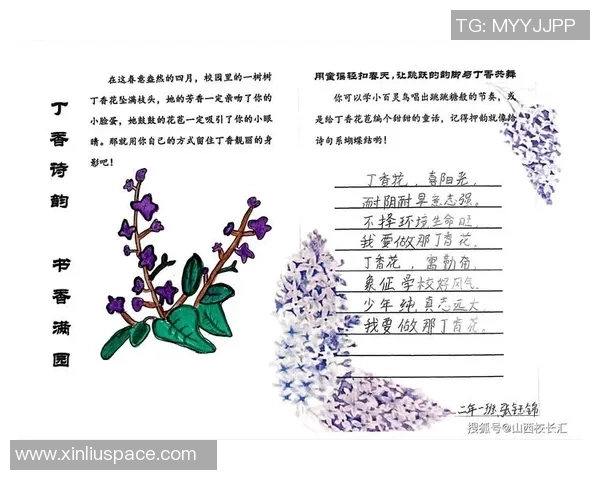 周丽的网球人生：从青涩少年到职业选手的深度对话与成长历程