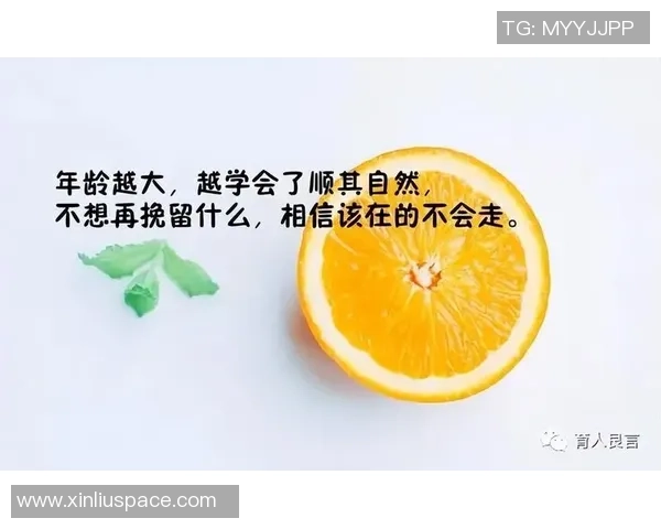 张秀英的排球旅程：从赛场辉煌到人生感悟的深度对话