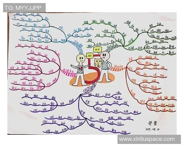 数据分析：西安排球队的团队协作表现