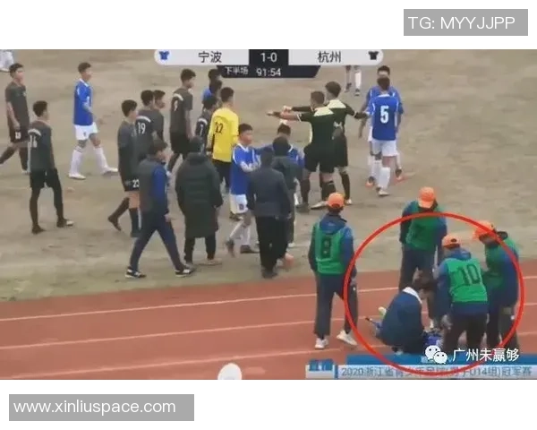 杭州排球队的转换打法深度解析与战术创新探讨