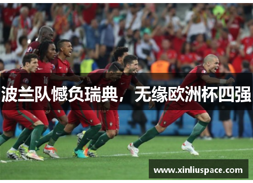 波兰队憾负瑞典，无缘欧洲杯四强