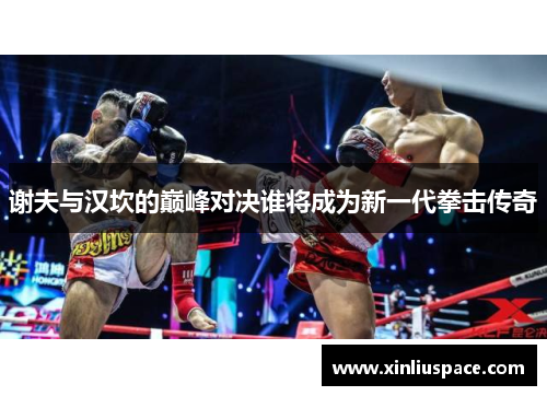 谢夫与汉坎的巅峰对决谁将成为新一代拳击传奇